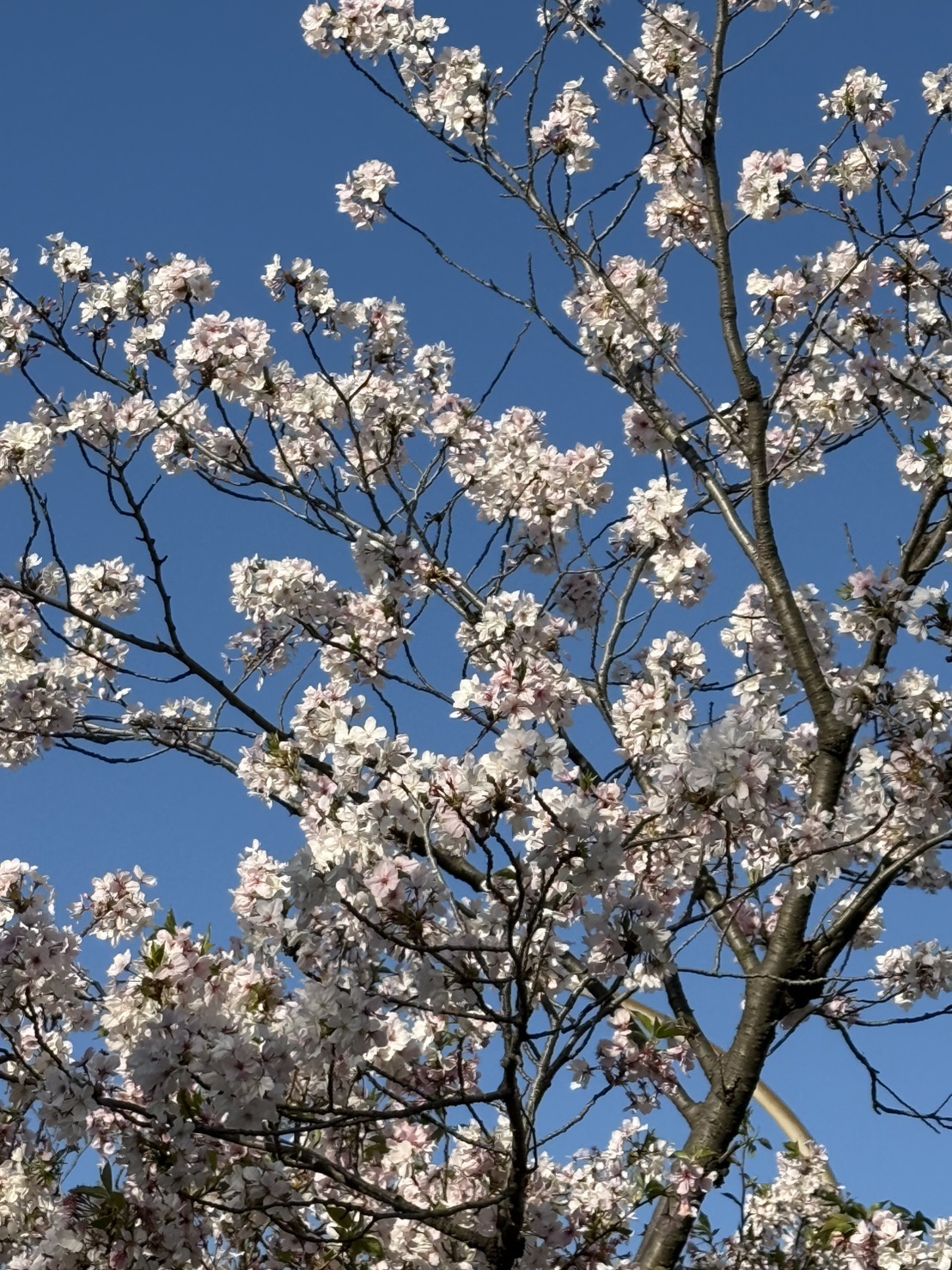 大切なみんなへ